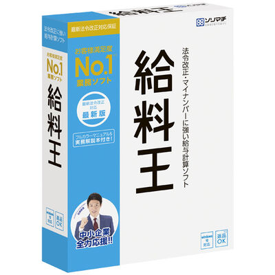 給料王21 最新法令改正対応版