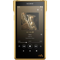 ウォークマン WM1シリーズ <フラッシュメモリータイプ> 256GB NW-WM1ZM2