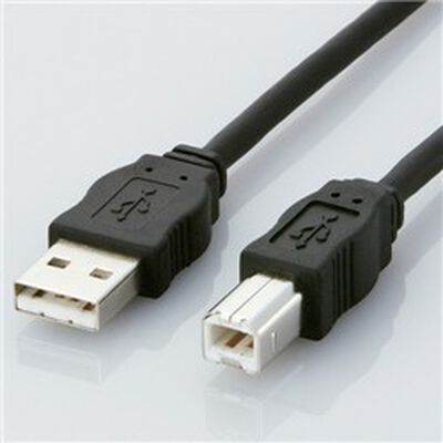 USBケーブル ABタイプ/5.0m(ブラック) USB2-ECO50