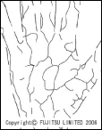 手のひら静脈認証