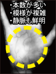 手のひら静脈認証